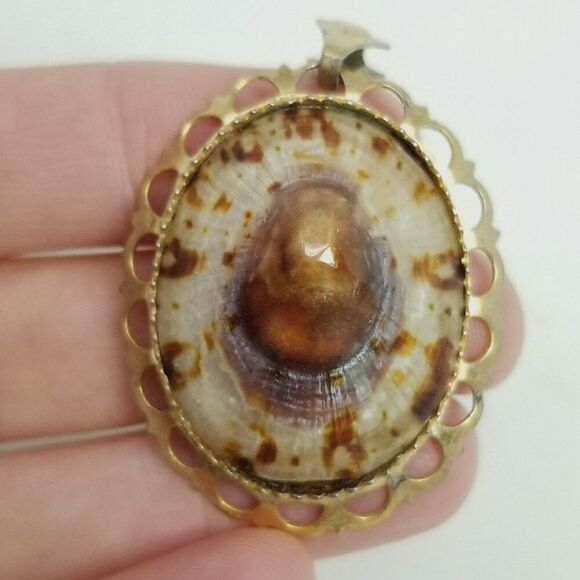 Vintage Shell Oval Pendant, Tan Brooch, Gold Tone Setting, Natural Nature - Picture 1 of 7